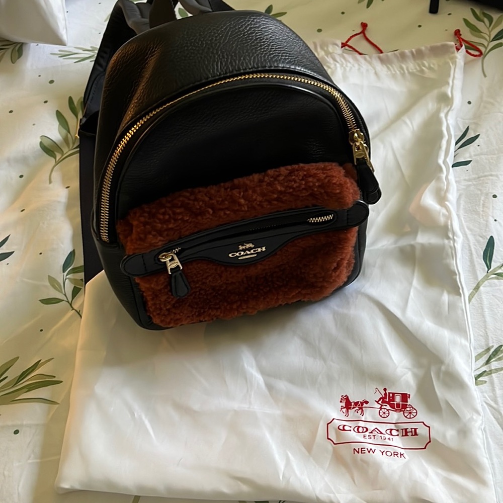 Coach Mini Backpack